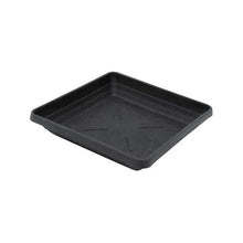  Square Plastic Tray