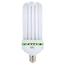  LUMii EnviroGro CFL Bulb