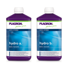  Plagron Hydro A+B