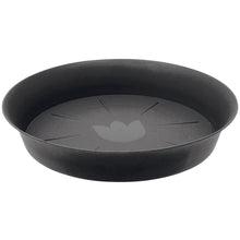  Round Saucers