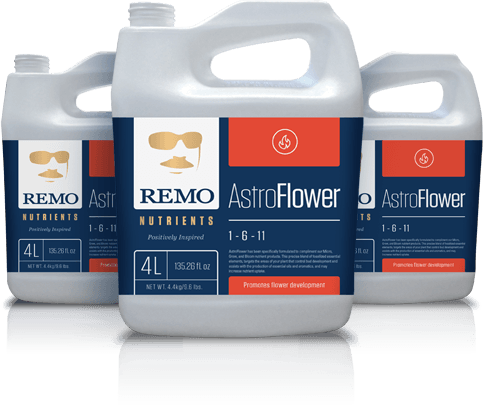 Remo Astro Flower