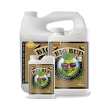  ADVANCED NUTRIENTS BIG BUD COCO