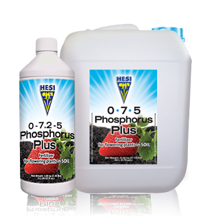  Hesi Phosphorus Plus 1 litre